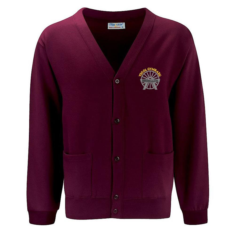 Ysgol Gymraeg Bro Allta Cardigan