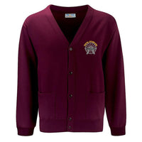 Ysgol Gymraeg Bro Allta Cardigan