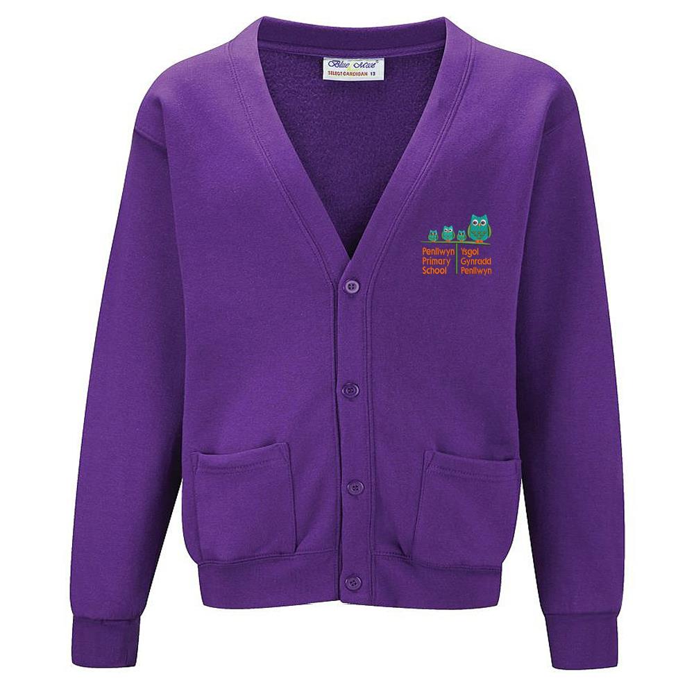 Penllwyn Primary School Cardigan