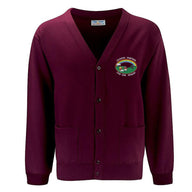 Cwm Ifor Primary School Cardigan