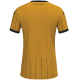 Carmarthen Town AFC Joma Home Shirt 2025/26 (Adults)