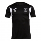 Carmarthen Town AFC Academy Joma Winner III T-Shirt (Adults)